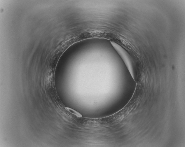 X0000088430914200705221243