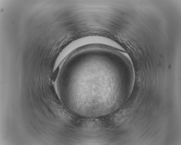 X0000088430916200705221243