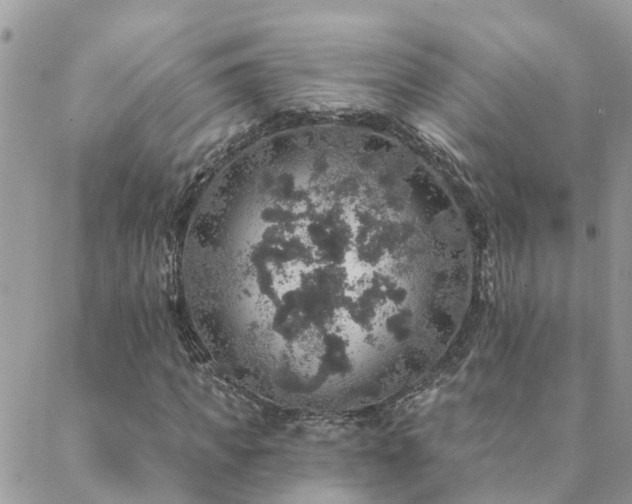 X0000088430917200705221243