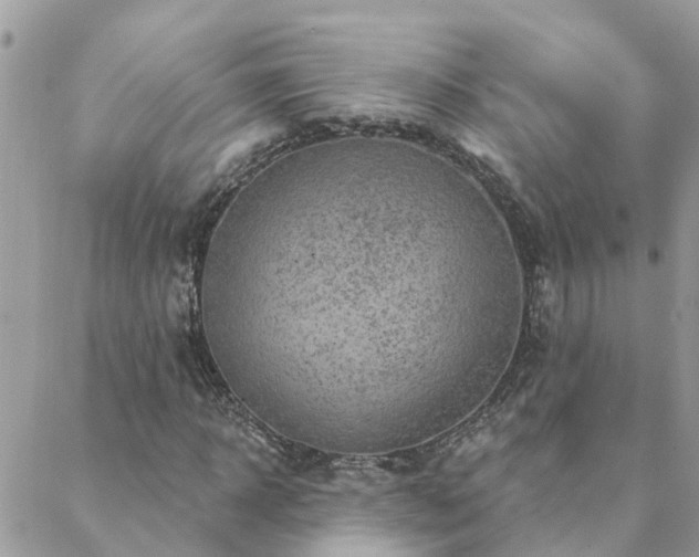 X0000088430918200705221243