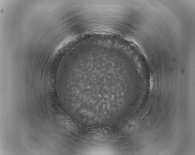 X0000088430919200705221243