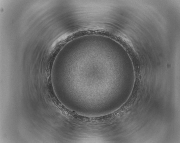 X0000088430920200705221243