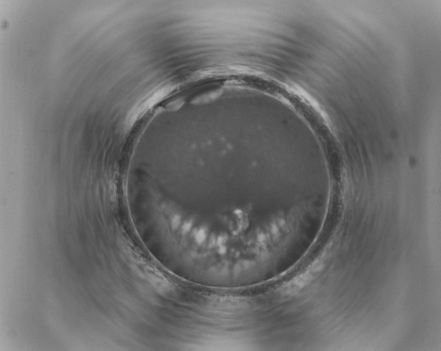 X0000088430921200705221243