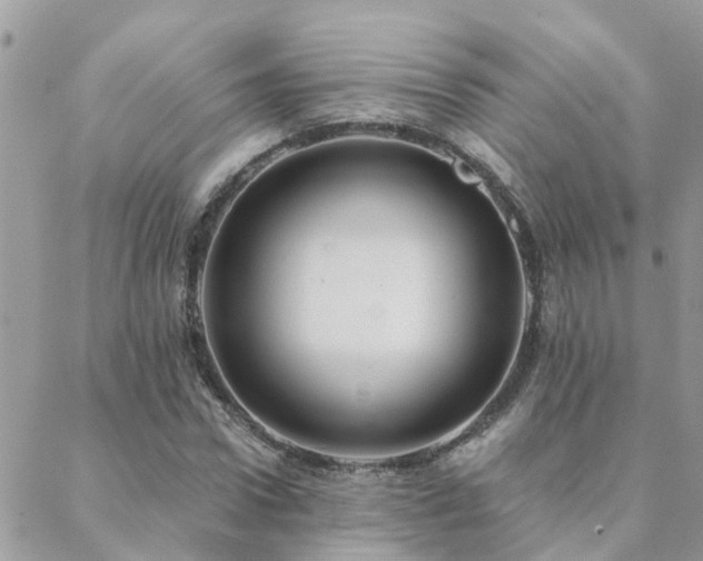 X0000088430922200705221243