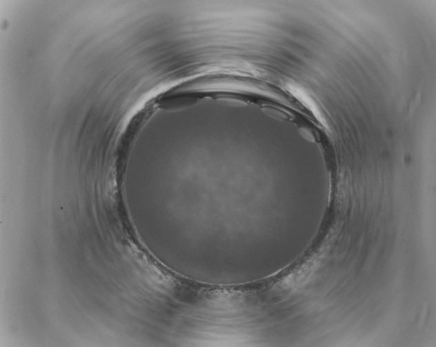 X0000088430923200705221243