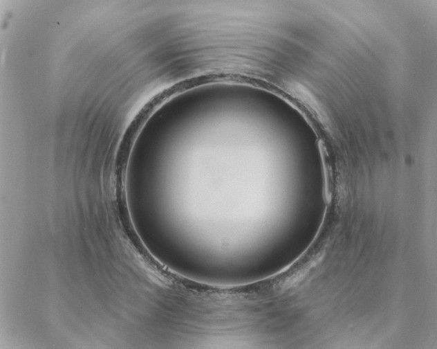 X0000088430924200705221243