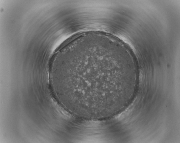 X0000088430925200705221243