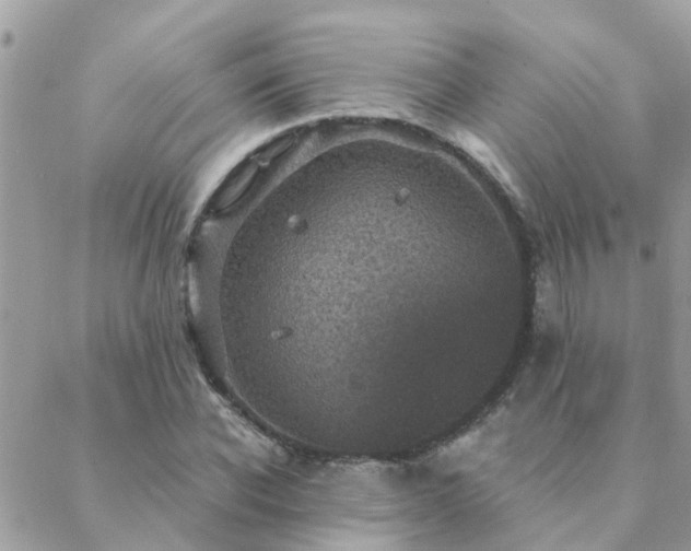 X0000088430926200705221243