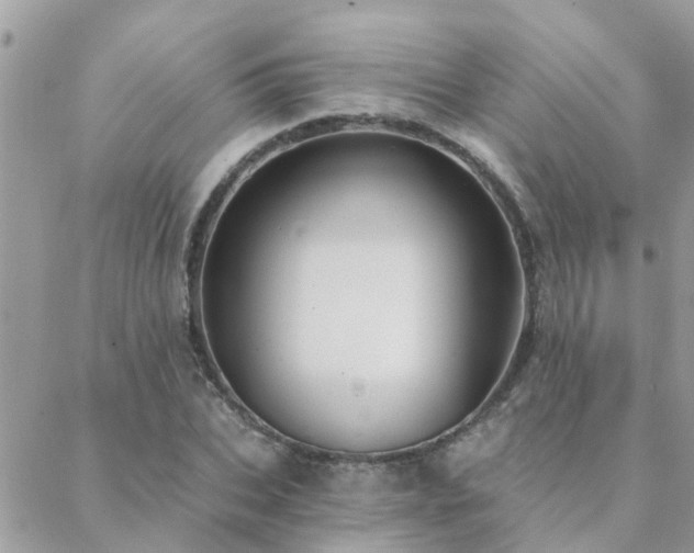 X0000088430927200705221243