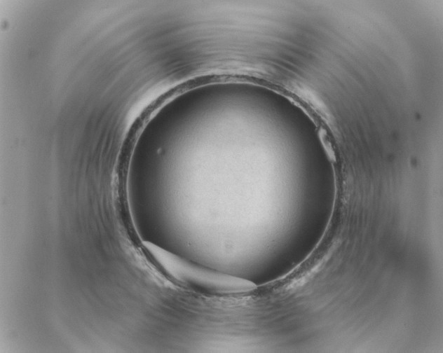 X0000088430928200705221243