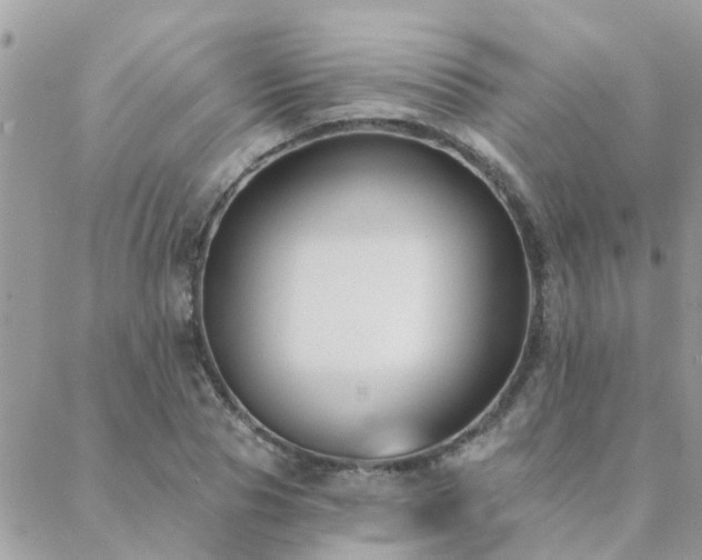 X0000088430929200705221243