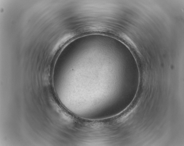 X0000088430930200705221243