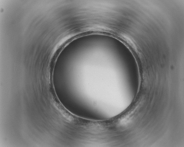 X0000088430931200705221243