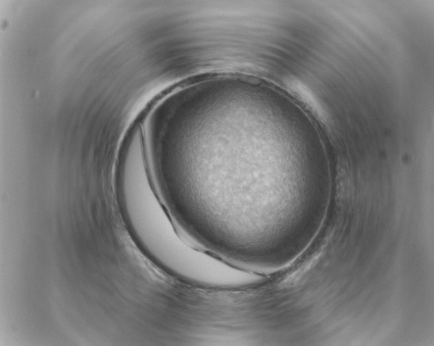 X0000088430932200705221243