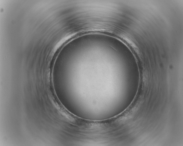 X0000088430933200705221243