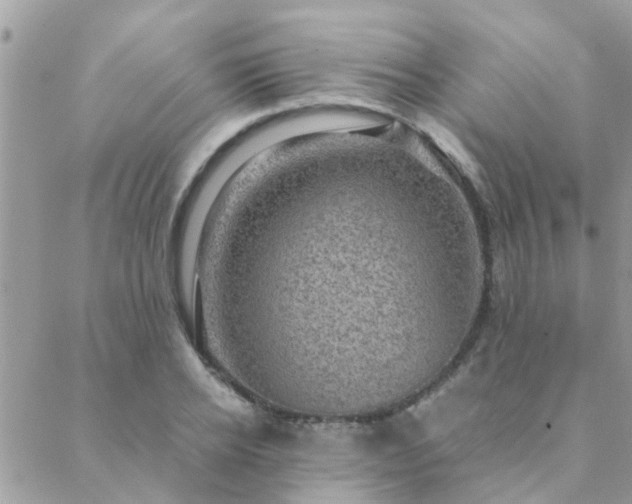 X0000088430934200705221243