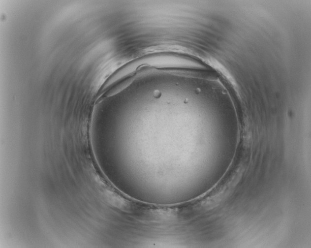 X0000088430937200705221243