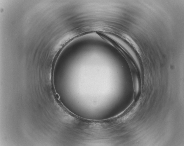 X0000088430938200705221244