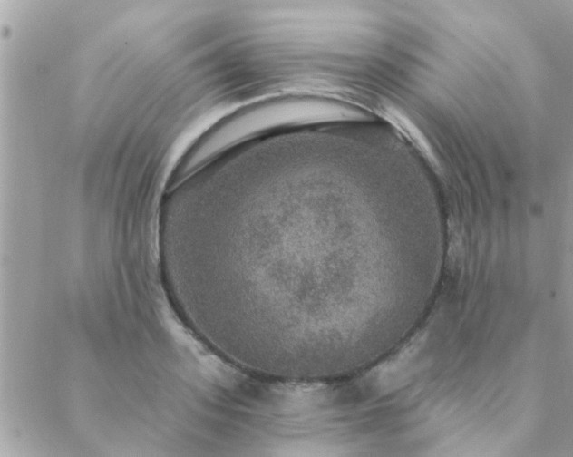 X0000088430939200705221244