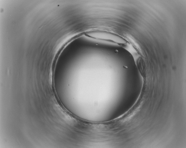 X0000088430940200705221244