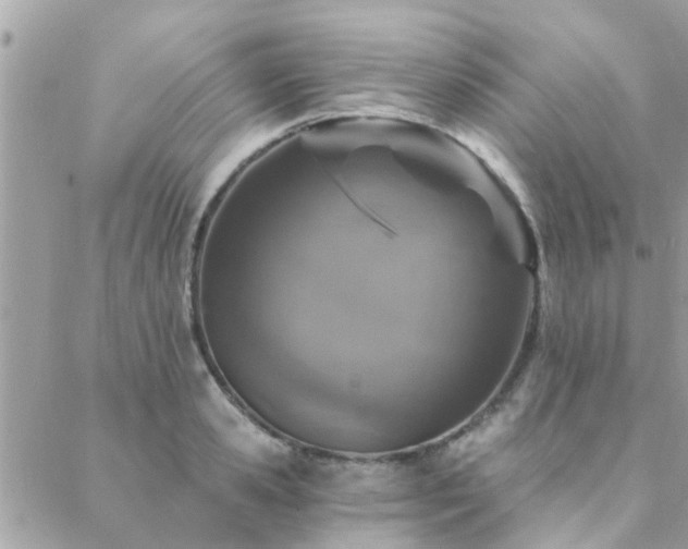 X0000088430941200705221244