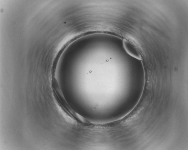 X0000088430942200705221244