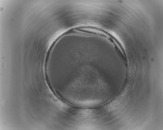 X0000088430943200705221244