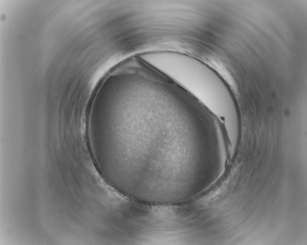 X0000088430944200705221244