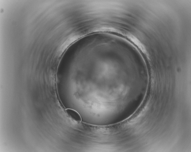 X0000088430945200705221244