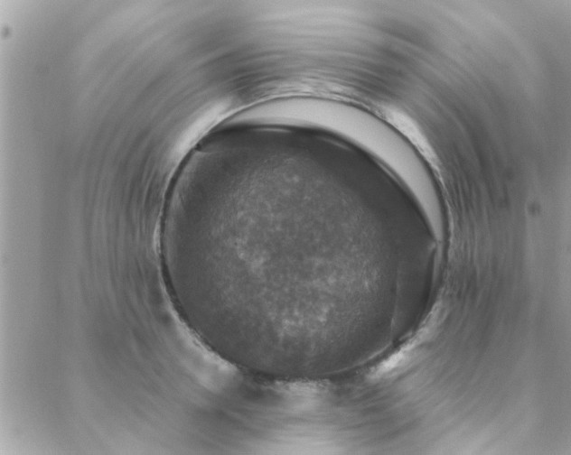 X0000088430946200705221244