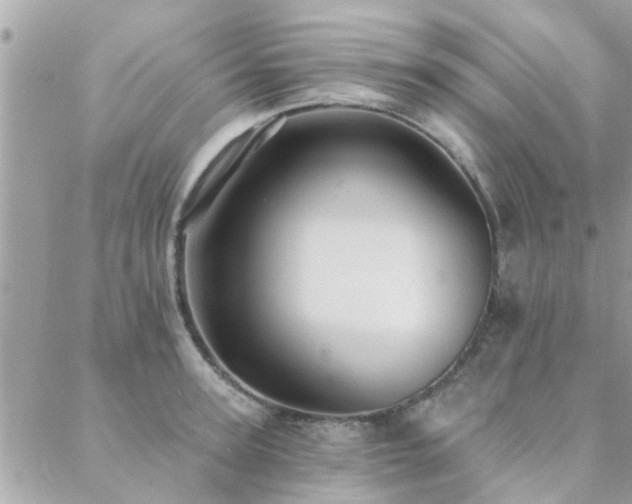 X0000088430947200705221244