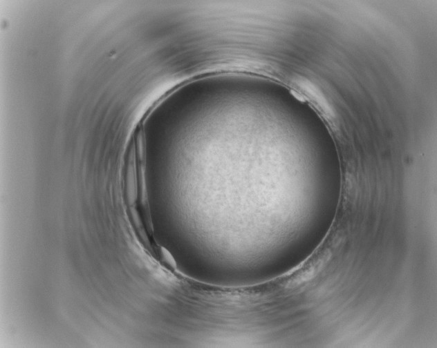 X0000088430948200705221244