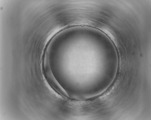 X0000088430949200705221244