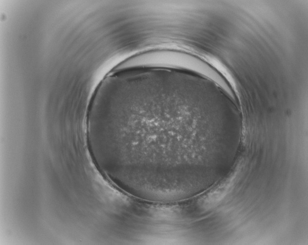 X0000088430951200705221244