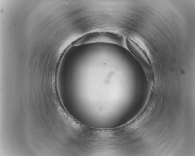 X0000088430952200705221244