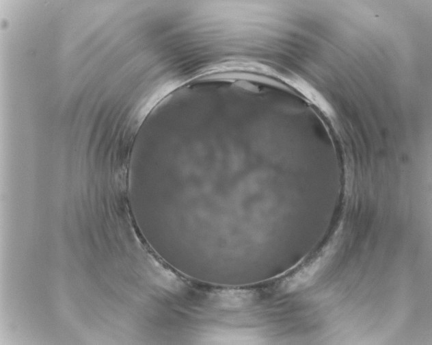 X0000088430953200705221244