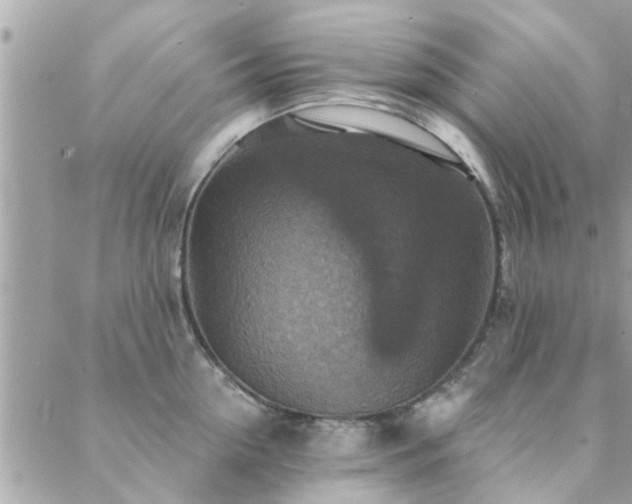 X0000088430954200705221244