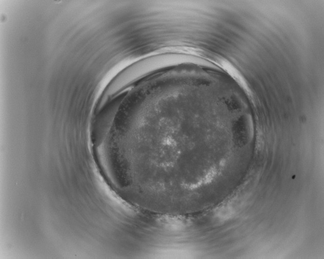 X0000088430955200705221244