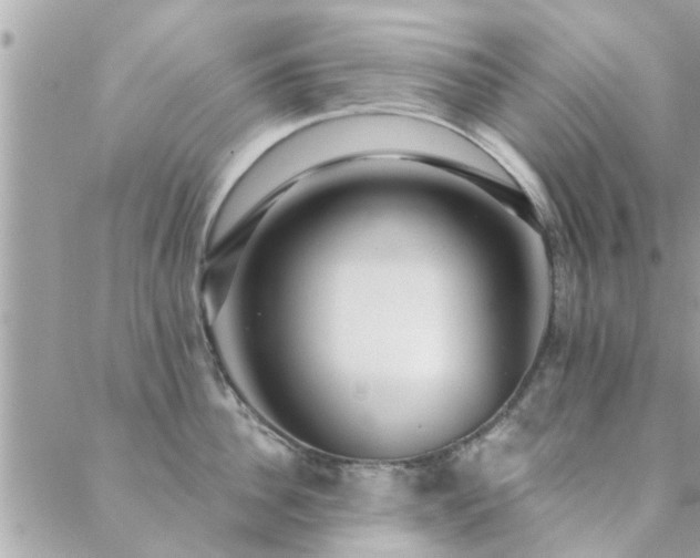 X0000088430956200705221244