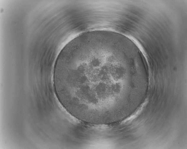 X0000088430957200705221244