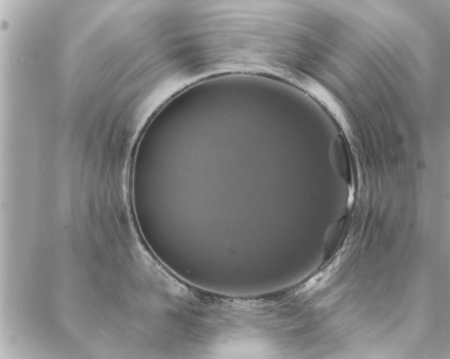 X0000088430958200705221244