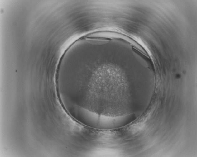 X0000088430959200705221244