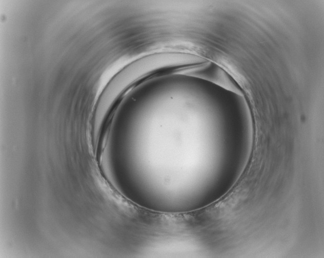 X0000088430960200705221244