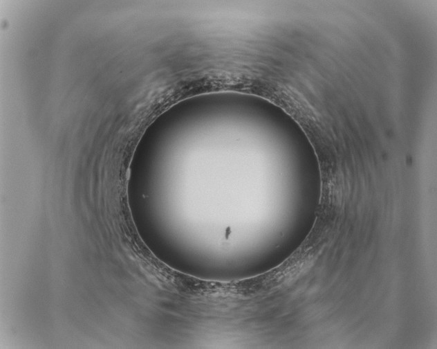 X0000088430961200705221243