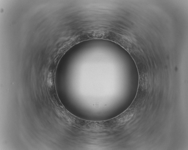 X0000088430962200705221243