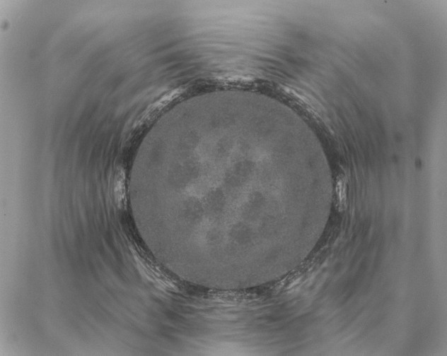 X0000088430963200705221243