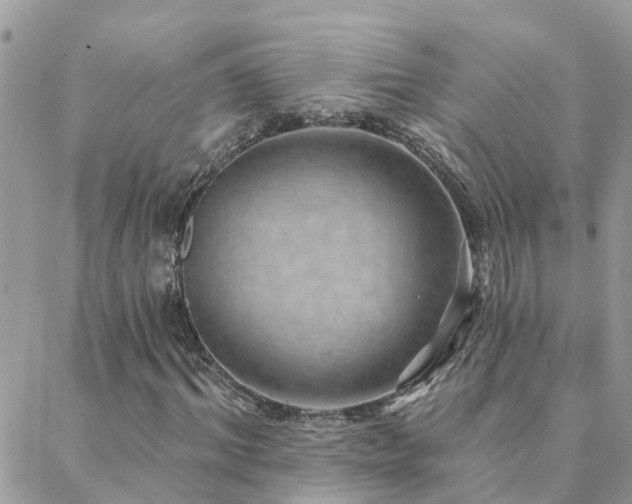 X0000088430964200705221243