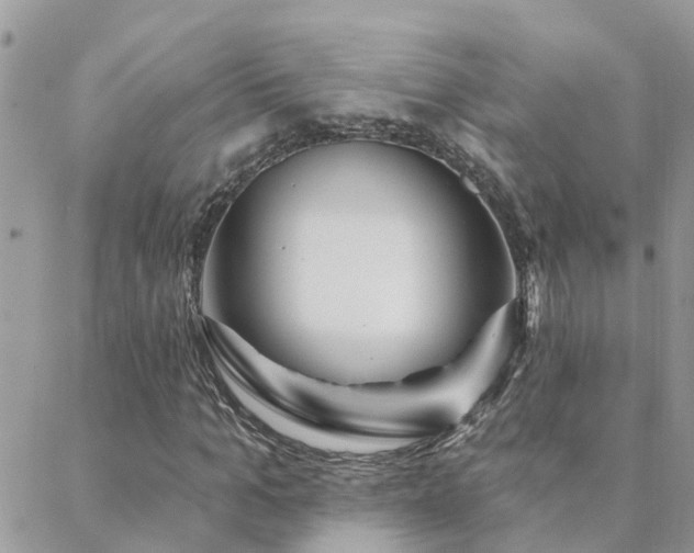 X0000088430965200705221243