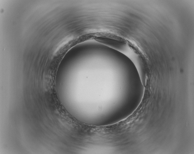 X0000088430967200705221243