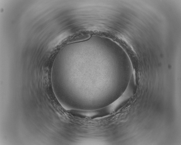 X0000088430968200705221243